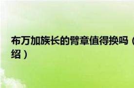 布万加族长的臂章值得换吗（布万加的族长臂章相关内容简介介绍）