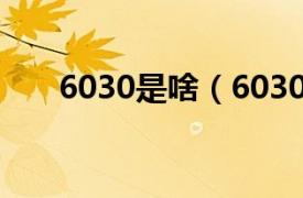 6030是啥（6030相关内容简介介绍）