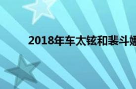 2018年车太铉和裴斗娜主演的《完美离婚》韩剧