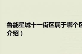 鲁能星城十一街区属于哪个区（鲁能星城十一街区相关内容简介介绍）