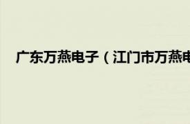 广东万燕电子（江门市万燕电子有限公司相关内容简介介绍）