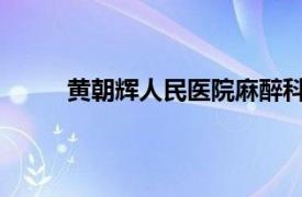 黄朝辉人民医院麻醉科副主任医师相关内容简介