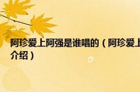 阿珍爱上阿强是谁唱的（阿珍爱上了阿强 五条人演唱的歌曲相关内容简介介绍）