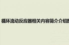 循环流动反应器相关内容简介介绍图（循环流动反应器相关内容简介介绍）