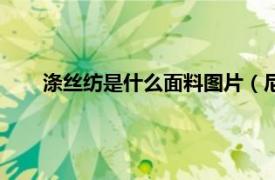 涤丝纺是什么面料图片（尼丝纺面料相关内容简介介绍）