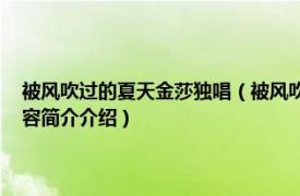 被风吹过的夏天金莎独唱（被风吹过的夏天 金莎、林俊杰演唱歌曲相关内容简介介绍）