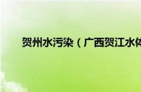 贺州水污染（广西贺江水体污染事件相关内容简介介绍）