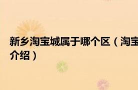 新乡淘宝城属于哪个区（淘宝城 新乡市淘宝城楼盘相关内容简介介绍）