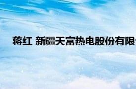 蒋红 新疆天富热电股份有限公司总工程师相关内容简介介绍