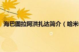 海巴图拉阿洪扎达简介（哈米杜拉阿洪扎达相关内容简介介绍）