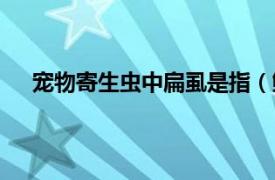 宠物寄生虫中扁虱是指（鲸虱介虫相关内容简介介绍）