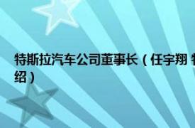 特斯拉汽车公司董事长（任宇翔 特斯拉业务发展原副总裁相关内容简介介绍）