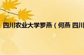 四川农业大学罗燕（何燕 四川农业大学讲师相关内容简介介绍）