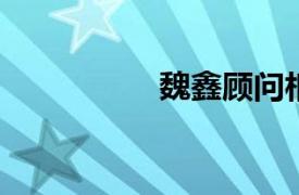 魏鑫顾问相关内容简介