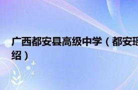 广西都安县高级中学（都安瑶族自治县高级中学相关内容简介介绍）