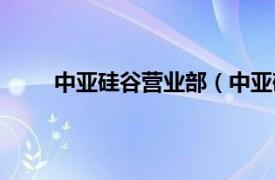 中亚硅谷营业部（中亚硅谷网相关内容简介介绍）