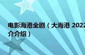 电影海港全剧（大海港 2022年张汉杰执导的电视剧相关内容简介介绍）