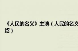 《人民的名义》主演（人民的名义 2017年李路执导电视剧相关内容简介介绍）