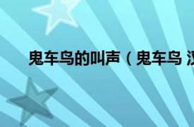 鬼车鸟的叫声（鬼车鸟 汉语词语相关内容简介介绍）