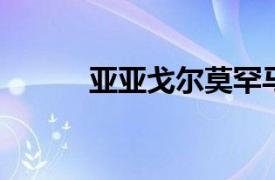 亚亚戈尔莫罕马迪相关内容介绍