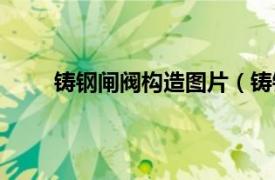 铸钢闸阀构造图片（铸钢闸阀相关内容简介介绍）