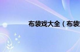 布袋戏大全（布袋戏相关内容简介介绍）