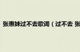 张惠妹过不去歌词（过不去 张惠妹演唱歌曲相关内容简介介绍）