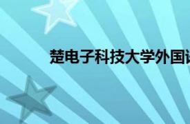 楚电子科技大学外国语学院教授相关内容简介