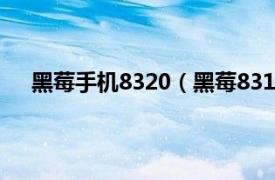 黑莓手机8320（黑莓8310 移动版相关内容简介介绍）