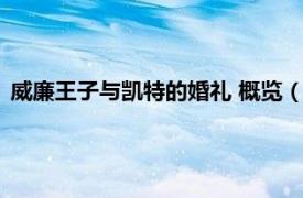 威廉王子与凯特的婚礼 概览（威廉王子婚礼相关内容简介介绍）