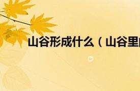 山谷形成什么（山谷里的居民相关内容简介介绍）