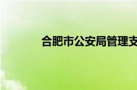 合肥市公安局管理支队女子看守所政委简介