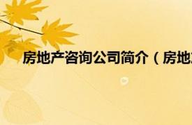 房地产咨询公司简介（房地产咨询机构相关内容简介介绍）