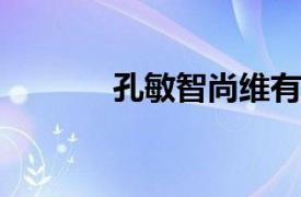 孔敏智尚维有限公司董事简介