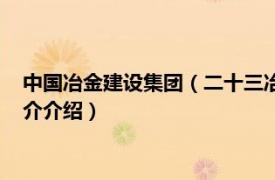 中国冶金建设集团（二十三冶建设集团有限责任公司相关内容简介介绍）