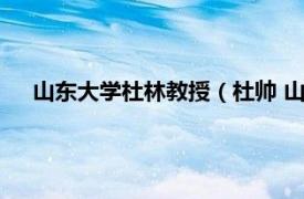 山东大学杜林教授（杜帅 山东大学教授相关内容简介介绍）