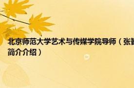 北京师范大学艺术与传媒学院导师（张智华 北京师范大学艺术与传媒学院教授相关内容简介介绍）