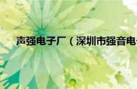 声强电子厂（深圳市强音电子有限公司相关内容简介介绍）