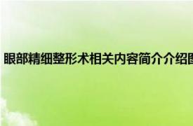 眼部精细整形术相关内容简介介绍图（眼部精细整形术相关内容简介介绍）