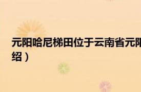 元阳哈尼梯田位于云南省元阳县（元阳哈尼梯田相关内容简介介绍）