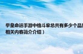 拳皇命运手游中格斗家总共有多少个品质（薇丝 手游《拳皇命运》里一名R级的格斗家相关内容简介介绍）