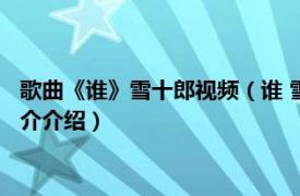 歌曲《谁》雪十郎视频（谁 雪十郎 / 面筋哥演唱歌曲相关内容简介介绍）