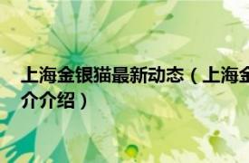 上海金银猫最新动态（上海金银猫金融服务有限公司相关内容简介介绍）