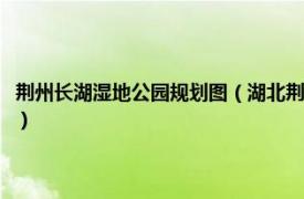 荆州长湖湿地公园规划图（湖北荆州菱角湖国家湿地公园相关内容简介介绍）