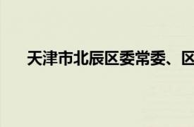 天津市北辰区委常委、区纪委书记、区监委主任国盈