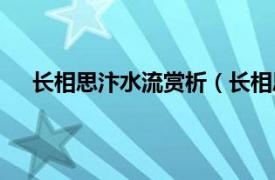 长相思汴水流赏析（长相思汴水流相关内容简介介绍）