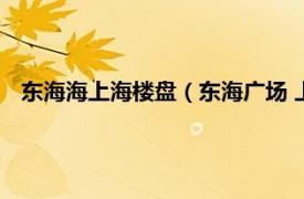 东海海上海楼盘（东海广场 上海市的楼盘相关内容简介介绍）