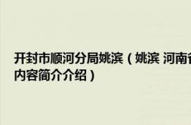 开封市顺河分局姚滨（姚滨 河南省开封市顺河回族区人民政府副区长相关内容简介介绍）