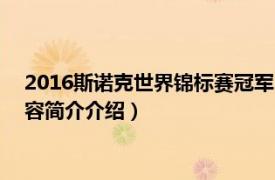 2016斯诺克世界锦标赛冠军（2010年斯诺克世界锦标赛相关内容简介介绍）