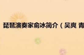 琵琶演奏家俞冰简介（吴爽 青年琵琶演奏家相关内容简介介绍）